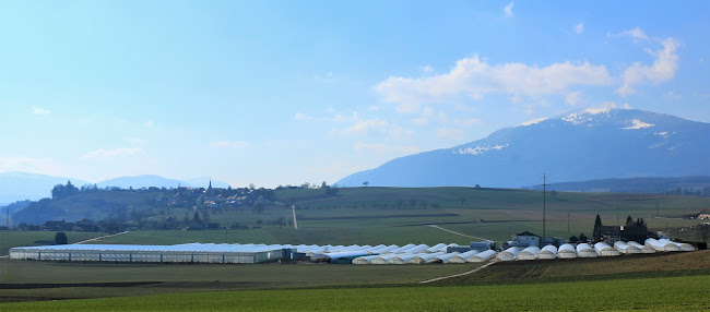 Eisberg SA - Gastronomie und Hotellerie