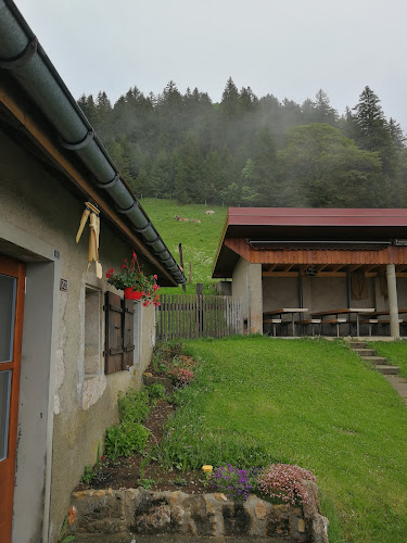 Mont de Mayaz - Gastronomie und Hotellerie