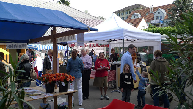 Comentarii opinii despre DIE AUFSCHNEIDER