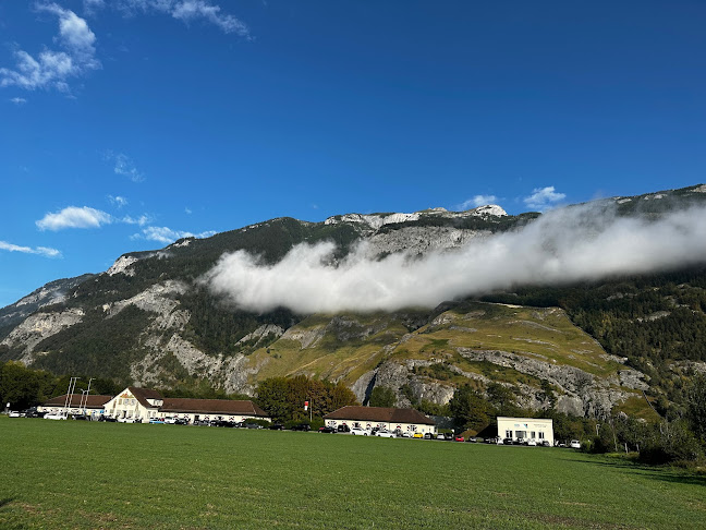 Comentarii opinii despre Merz Rossboden Chur