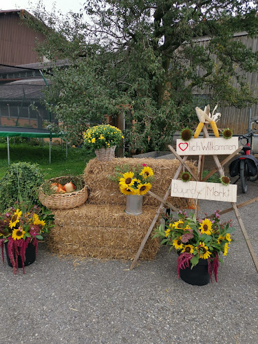 Linden 6, 9300 Wittenbach