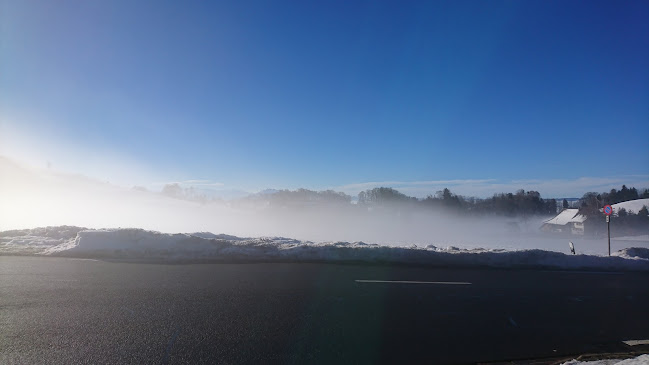 Comentarii opinii despre Teehusli Buchenegg