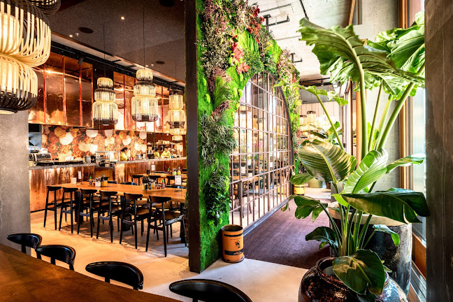 Comentarii opinii despre Nooba Kreuzplatz