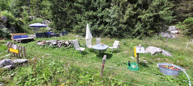 Opinii despre Alpbeizli Winteregg nur über Alpsaison geöffnet în Oberurnen - Gastronomie und Hotellerie