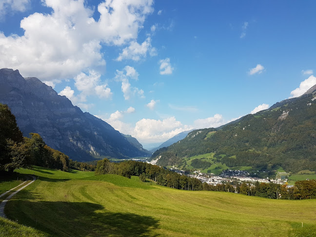 Comentarii opinii despre Rütihof