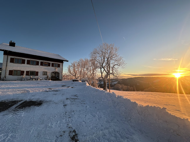 Werdtberg 110, 2732 Reconvilier