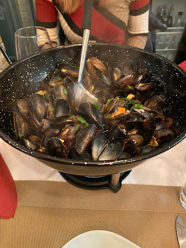 Comentarii opinii despre frisch & fröhlich