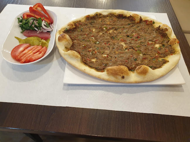 Comentarii opinii despre Olif