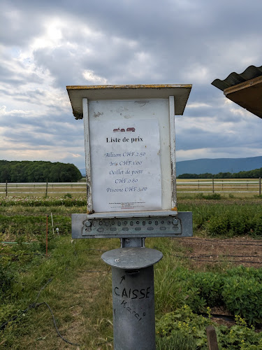 Barbara Bernegger - Gastronomie und Hotellerie