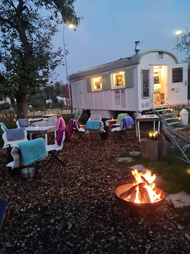 Comentarii opinii despre Oasis