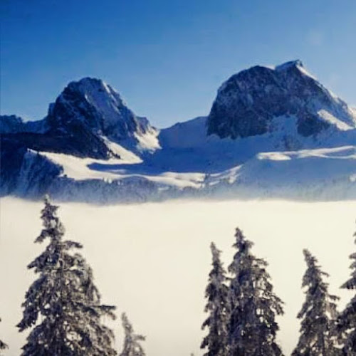 Gasthof & Catering Löwen Riffenmatt