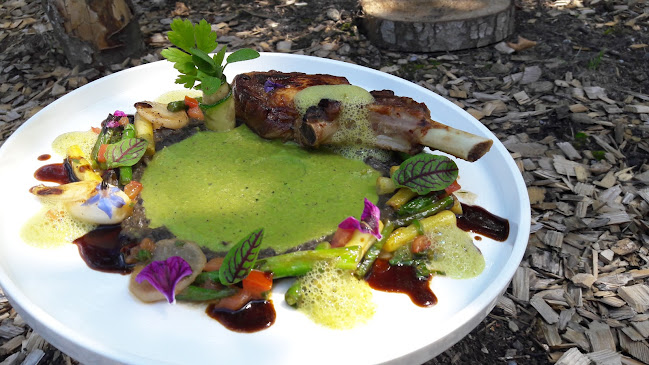 Comentarii opinii despre Frohsinn