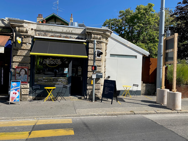 Comentarii opinii despre MAMS