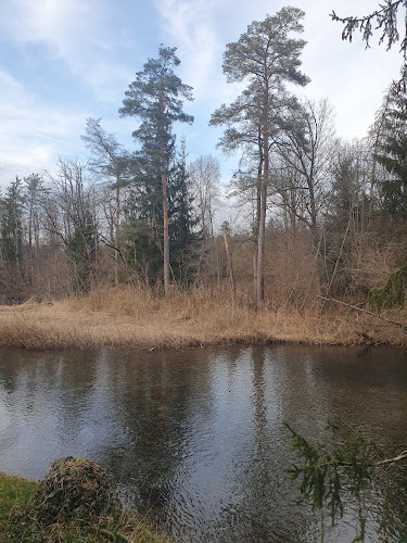 Opinii despre Restaurant Jägerheim în Belp - Gastronomie und Hotellerie