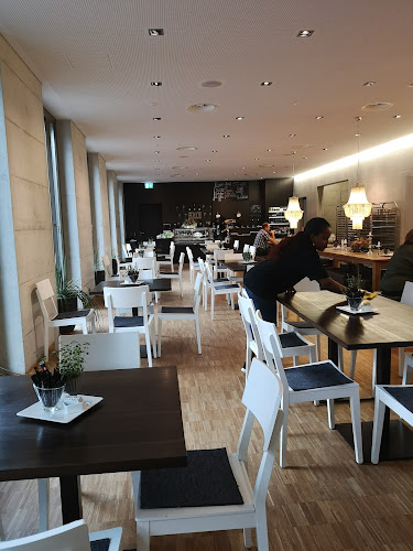 Comentarii opinii despre jederziit im gate27