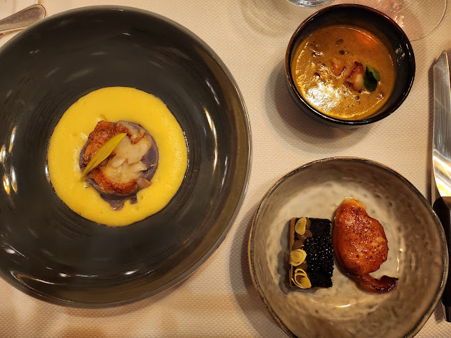 Comentarii opinii despre Restaurant de l'Hôtel DuPeyrou