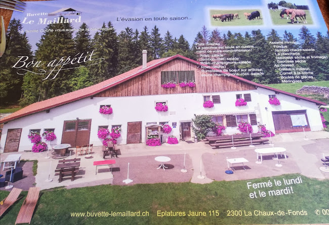 Opinii despre du Maillard în La Chaux-de-Fonds - Gastronomie und Hotellerie