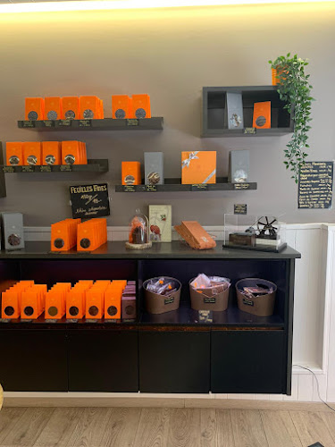 Comentarii opinii despre Philippe Pascoët