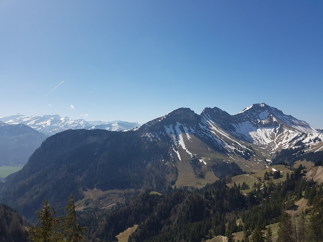 Opinii despre La Pierre à Catillon în Moléson-sur-Gruyères - Gastronomie und Hotellerie