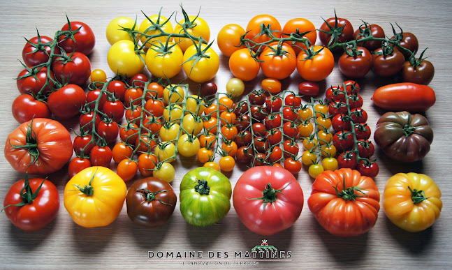 Comentarii opinii despre Marché des Mattines