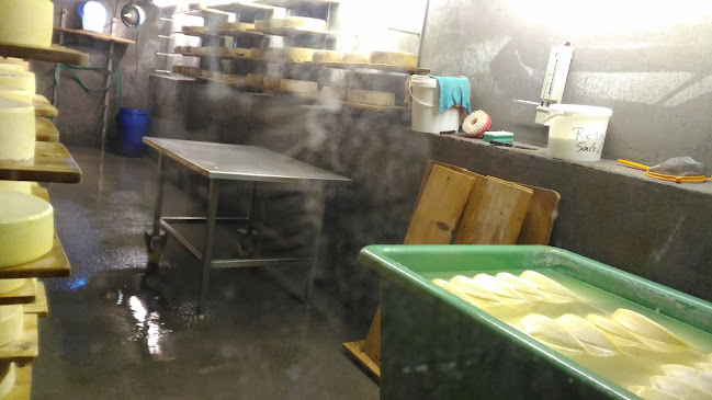 Comentarii opinii despre Clavadeleralp Schaukäserei & Restaurant