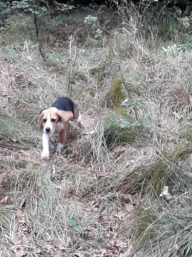 Witiweg 1, 2544 Bettlach