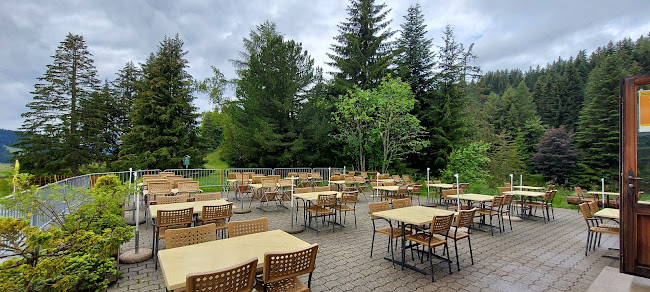 Rte des Joncs 371, 1619 Paccots