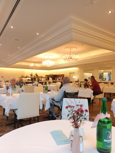 Opinii despre Restaurant Park-Café im Park-Hotel am Rhein în Rheinfelden - Gastronomie und Hotellerie