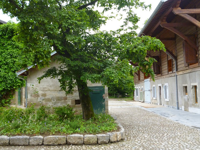 Opinii despre Ferme du Lignon în Le Lignon - Gastronomie und Hotellerie