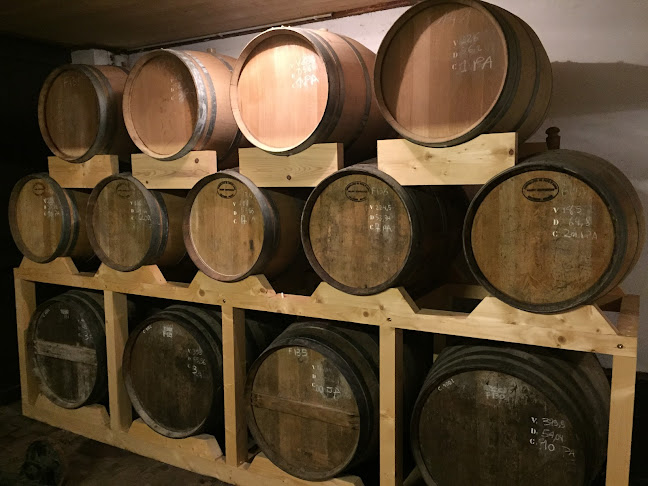 Comentarii opinii despre Vom Fass Biel