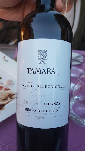 Comentarii opinii despre Gasthaus Degen