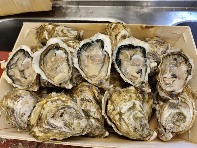 Comentarii opinii despre The King Crab Thai Restaurant