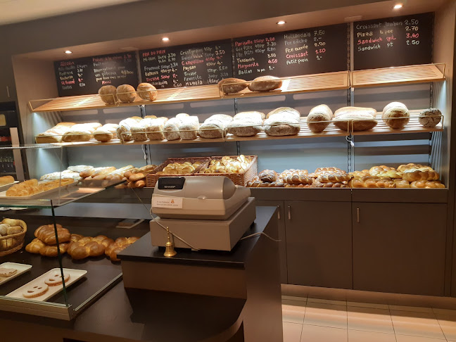 Comentarii opinii despre Pierre-Gilbert Délèze