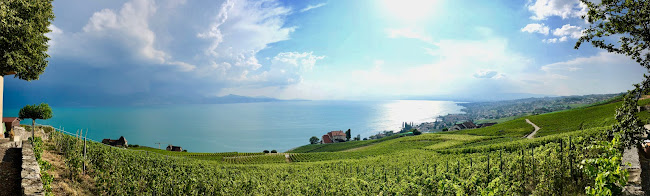 Domaine Vitis Musicalis