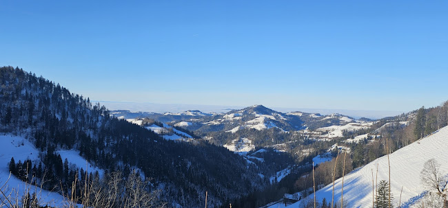 Alpwirtschaft Tierhag - Gastronomie und Hotellerie