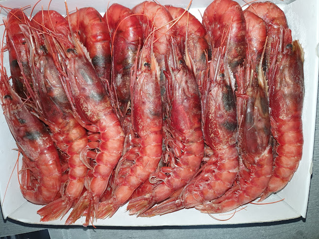 Warmbacher Str. 23, 79618 Rheinfelden (Baden), Deutschland