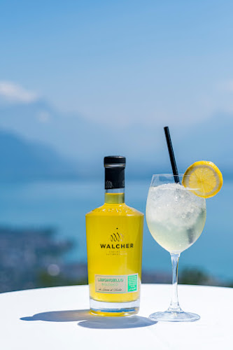 Comentarii opinii despre Restaurant Le Chalet du Mont-Pèlerin