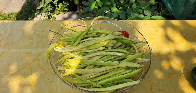 Agriturismo Ristoro ai Gelsi - Iseo
