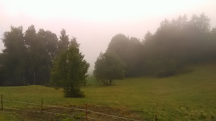 Moko Coffee Christensen Rossé