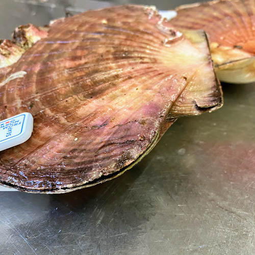 Restaurant Pizzeria de l'Union Fontainemelon - Gastronomie und Hotellerie