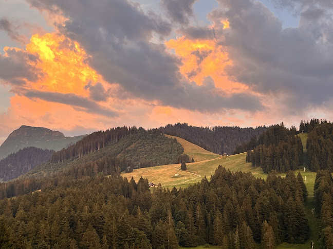 Rte des Joncs 371, 1619 Paccots