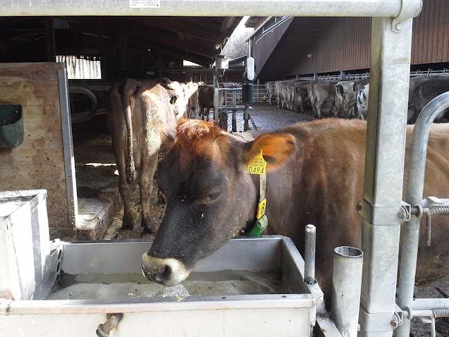 Milchautomat Hönggerberg - Zürich