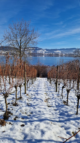 Juckerhof, Jucker Farm AG - Gastronomie und Hotellerie