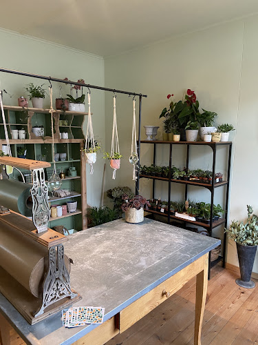 L'épicerie - Prêles