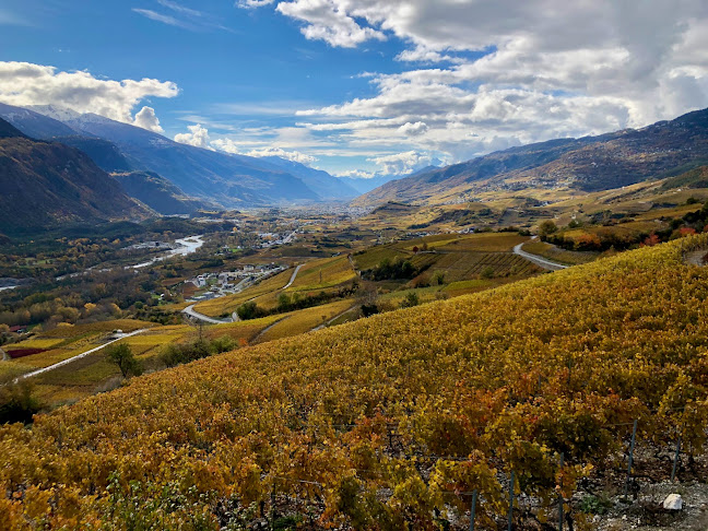 'Cave L'Or du Vent' Mermoud Bernard