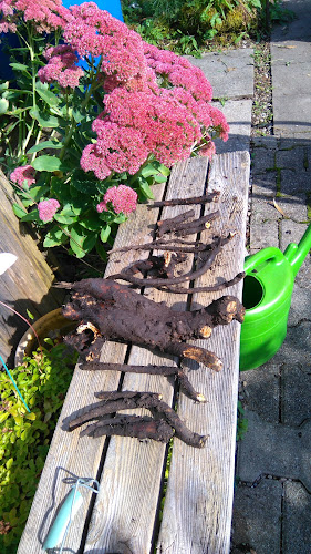 Hirschenhof Marco & Viola - Gastronomie und Hotellerie