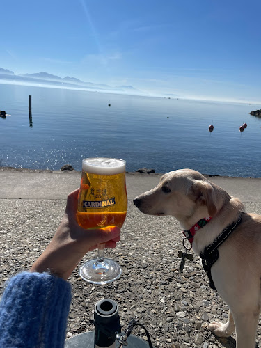 Opinii despre IL LIDO BAR RESTAURANT în Lausanne - Gastronomie und Hotellerie