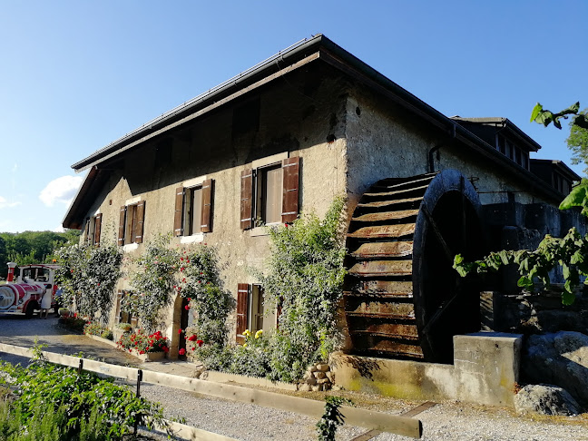 Opinii despre Domaine Le Moulin în Villars-sous-Yens - Gastronomie und Hotellerie