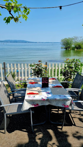 Comentarii opinii despre Schiff-Li