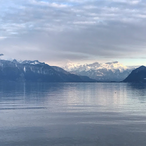 Comentarii opinii despre La Maison Rose